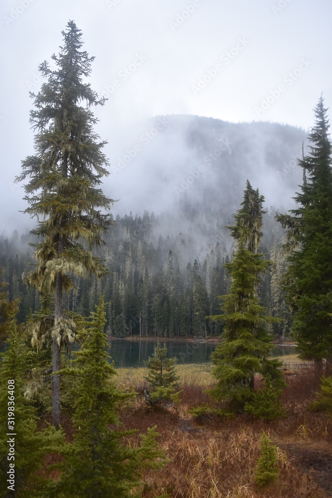 Foggy Day