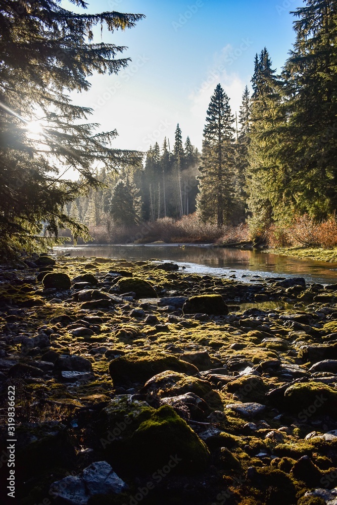 Mossy River 2