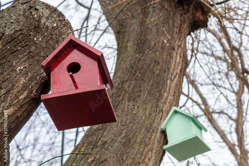 Red and Green DIY Birdhouses Hanged on Tree