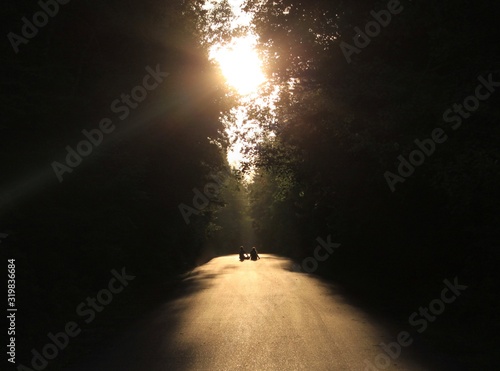 Obraz na płótnie Golden Hours w salonie
