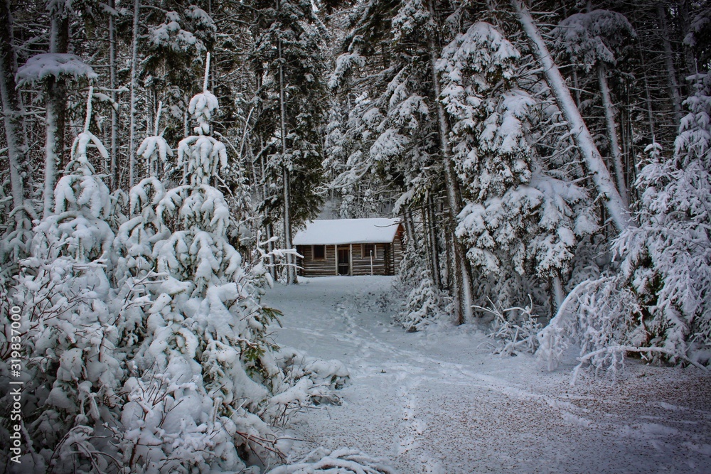 Cabin in the Woods