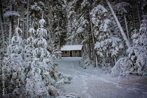Obraz na płótnie Cabin in the Woods w salonie
