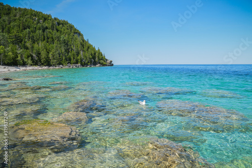 Crystal water Summer Landscapes in Tobermory  Ontario