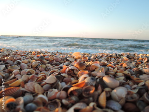 Beautiful seashell beach at sunset by the sea