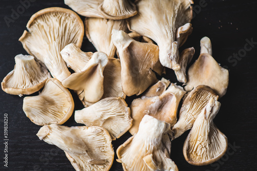 Wallpaper Mural Setas en primer plano con fondo negro Torontodigital.ca