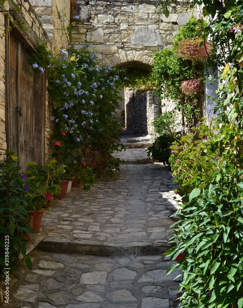 an old street overgrown with flowers in a mountain village of Cyprus