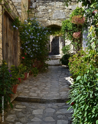 Fototapeta Naklejka Na Ścianę i Meble -  an old street overgrown with flowers in a mountain village of Cyprus