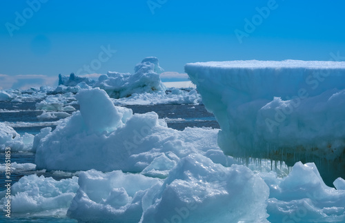 Adelie penguins on icebergs and icefloats along the coast of the Antarctic Peninsula, Antarctica photo