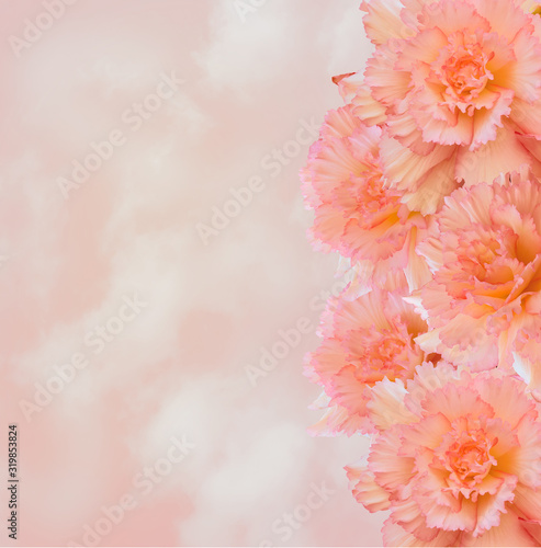 Gentle floral border with creamy-pink  large begonia flowers