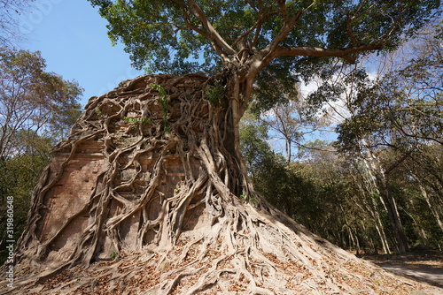 Kampong Thom, Cambodia-January 25, 2020: Sambor Prei Kuk Prasat Chrey or Prasat Sambor N18 in Kampong Thom, Cambodia photo