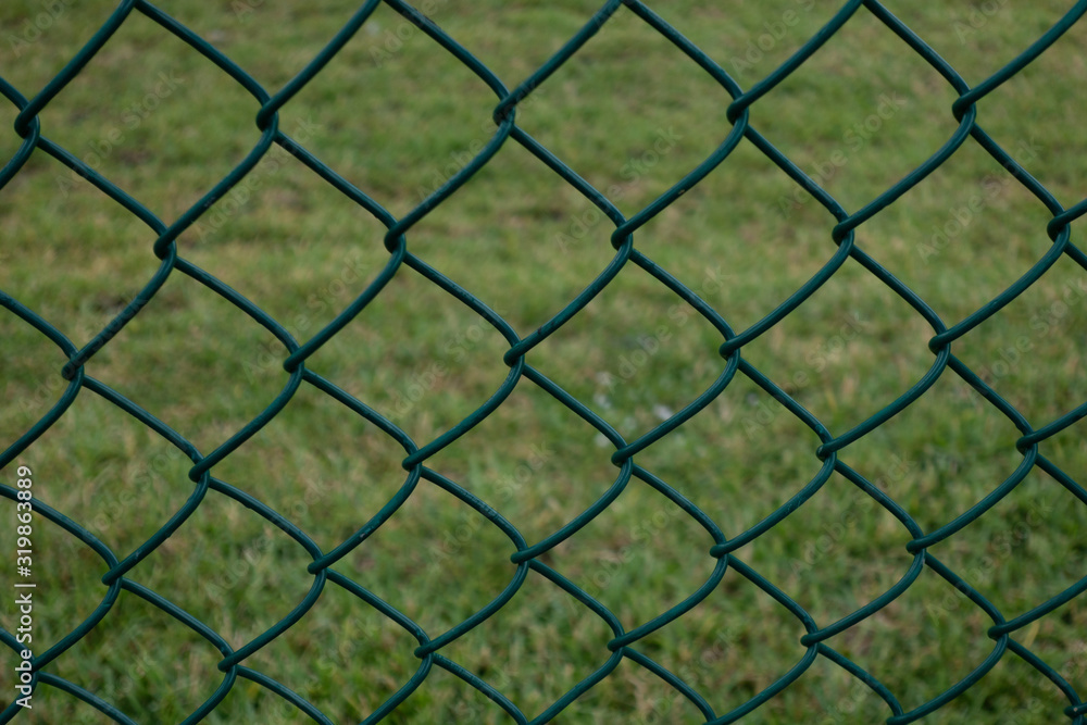Fototapeta premium wire fence and grass