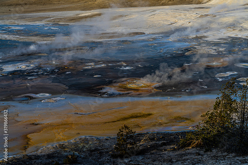 NORRIS GEYSER BASIN COLOR, Yellowstone National Park