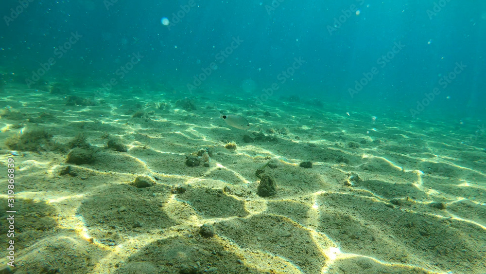 Photo of underwater rocks, sand and stones. The beautiful sandy and rocky bottom of the sea.