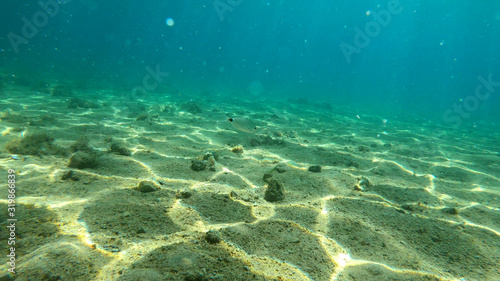 Photo of underwater rocks  sand and stones. The beautiful sandy and rocky bottom of the sea.