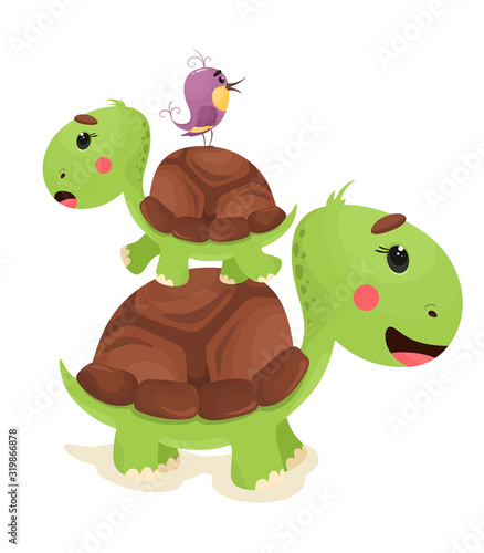 Pyramid from cute turtles and birds. Vector animal isolate in cartoon flat style. White background.