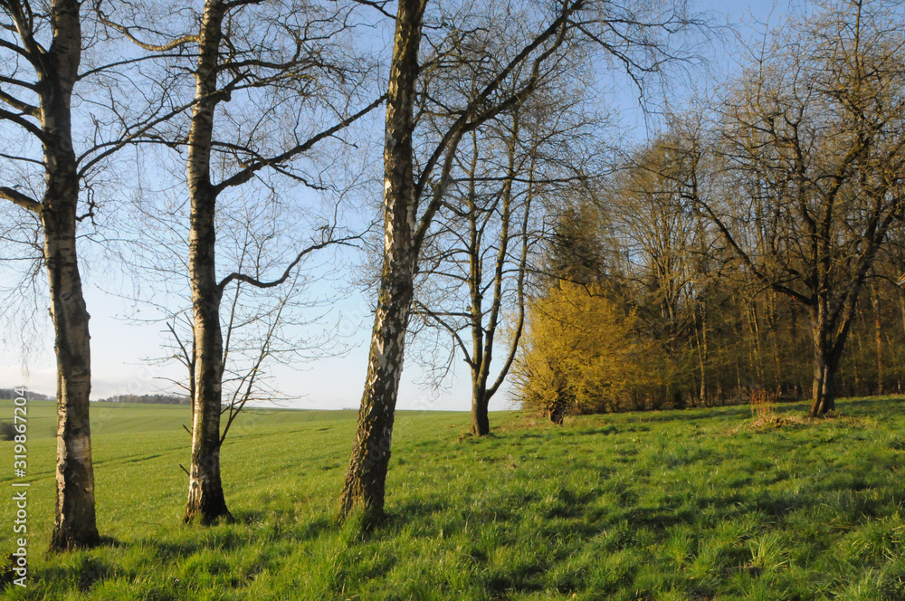 walking through German landscapes