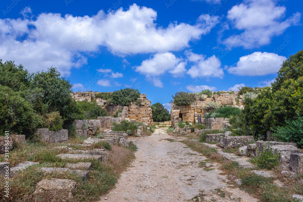 Main road and gateway of acropolis in Selinunte also called Selinus - ancient city on Sicily Island in Italy
