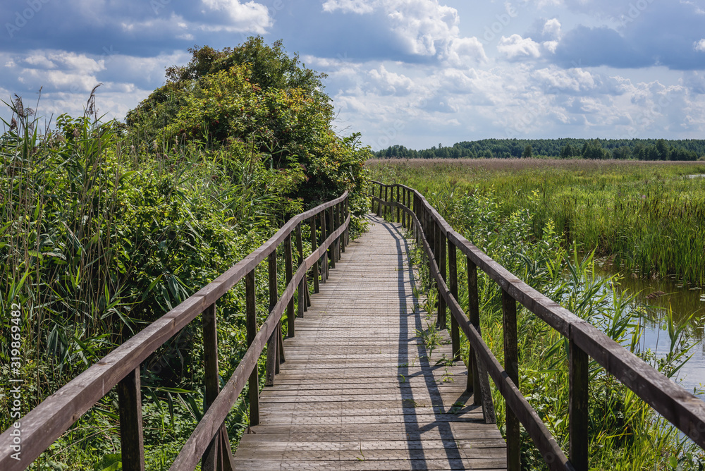Tourist wooden pathway in Narew National Park, close to the park authorities headquarters in Kurowo village, Poland
