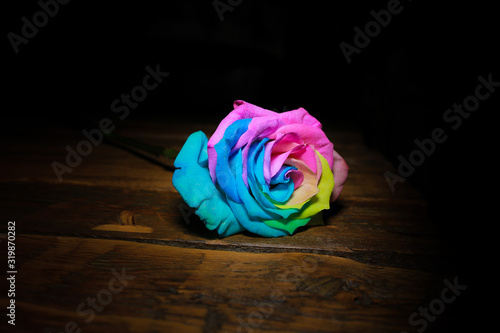 Beautiful rainbow Colored roses presentation