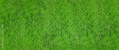 Texture of an even green lawn as a background
