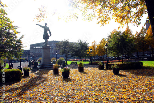 Statyn Karl Xll i Kungsträdgården på hösten photo