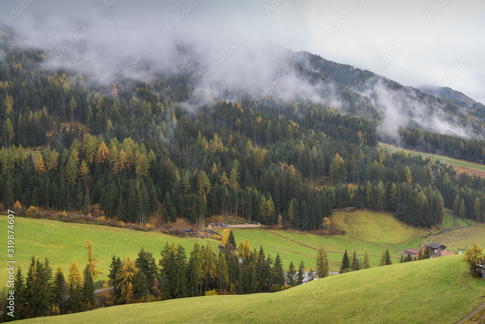 Typical scenery of Trentino Alto Adige South Tyrol in Italy in Dolomites Alps region during autumn with foliage and myst