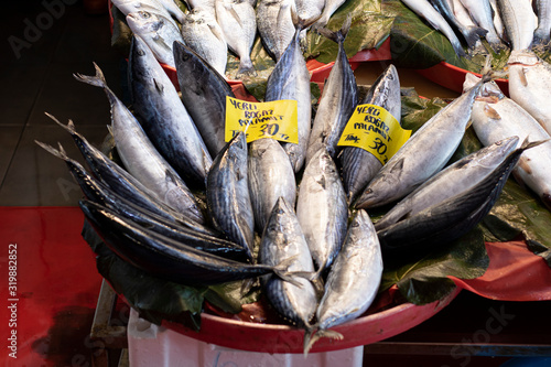 Fresh bonito fishes at fish market counter. photo