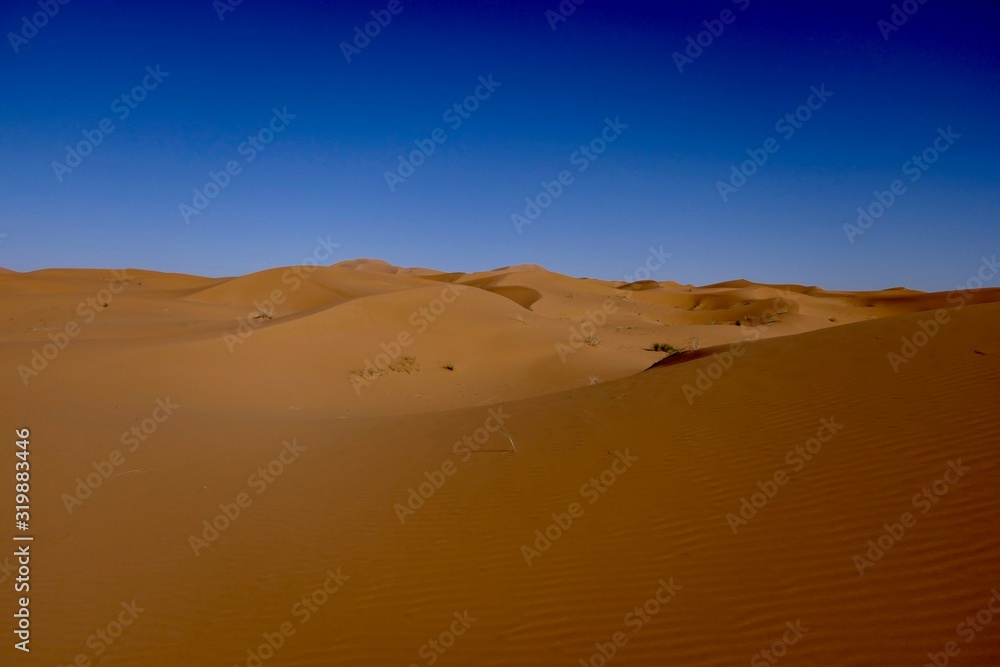 Sand dune with interesting shades and texture before desert landscape in Sahara during midday sun, Morocco, Africa