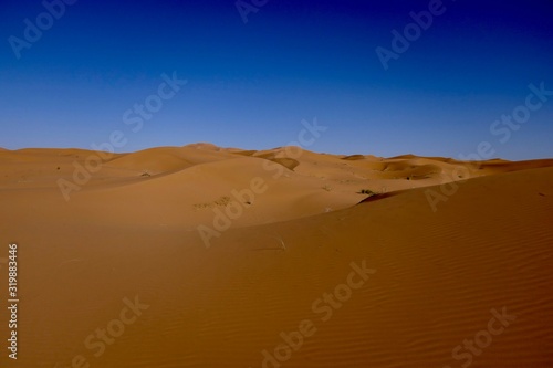 Sand dune with interesting shades and texture before desert landscape in Sahara during midday sun, Morocco, Africa