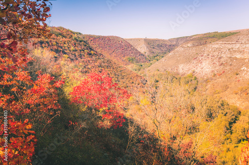 Panorama of Tipova