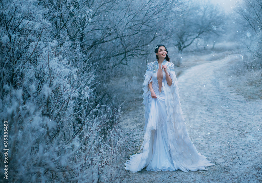 Young Happy Lady Snow Queen walk travel outdoor. Creative cozy outfit medieval clothing cape with feathers. Smile face. Frosty view snowy scene. xmas new year celebration holiday magic fantasy concept