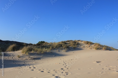 duna con arbusti mediterranei e impronte sulla sabbia, cielo azzurro