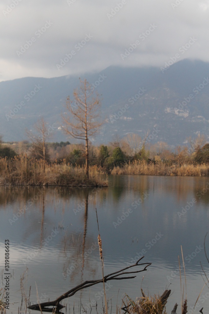Fototapeta premium torbiere lago d'iseo, vista d'inverno con cielo nuvoloso e alberi secchi
