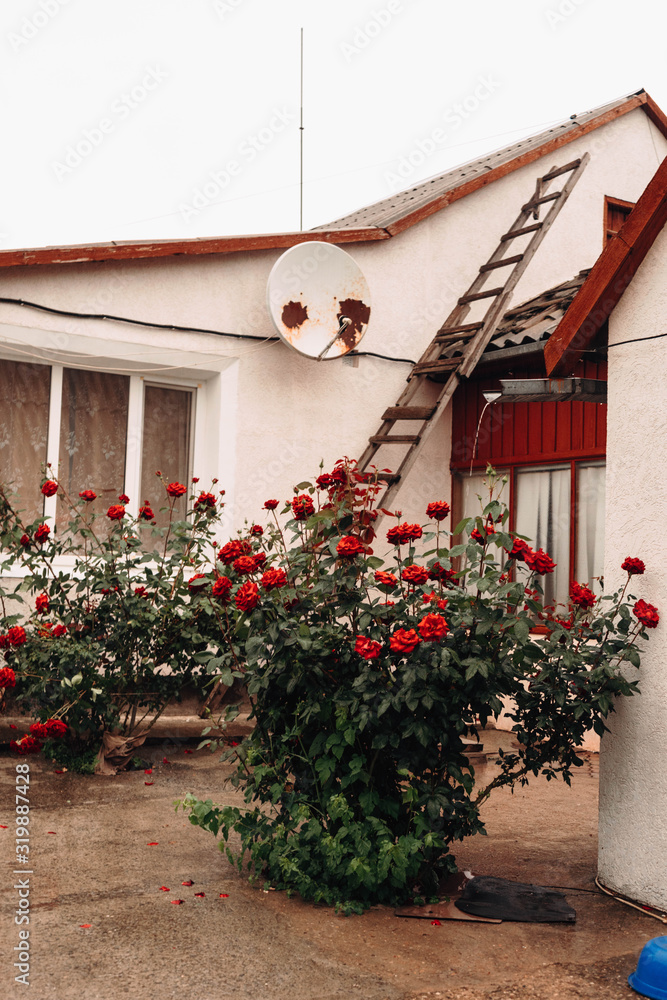 Naklejka premium house with flowers