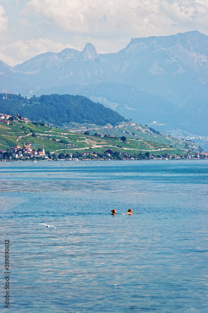 Women swimming in Lake Geneva and Lausanne coast on the background, Switzerland.