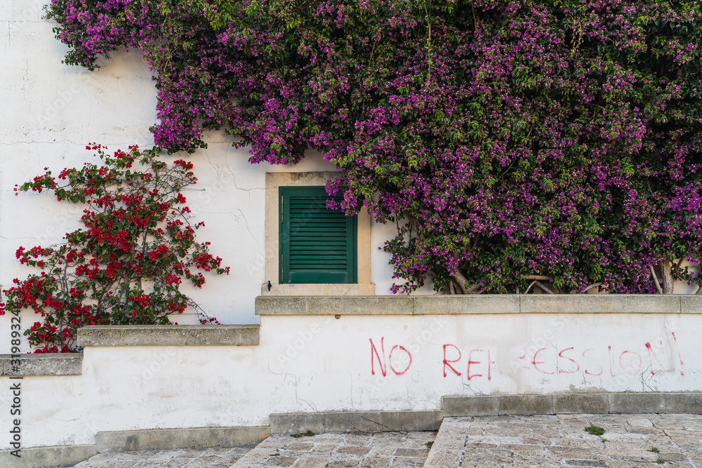 window with flowers