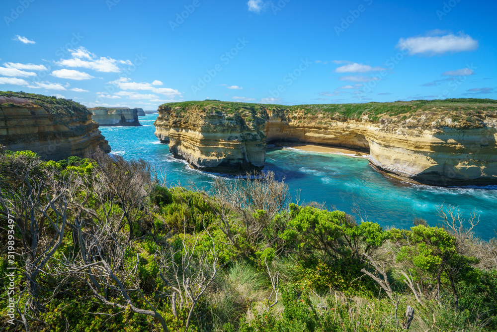 Obraz premium mutton bird island, great ocean road in victoria, australia