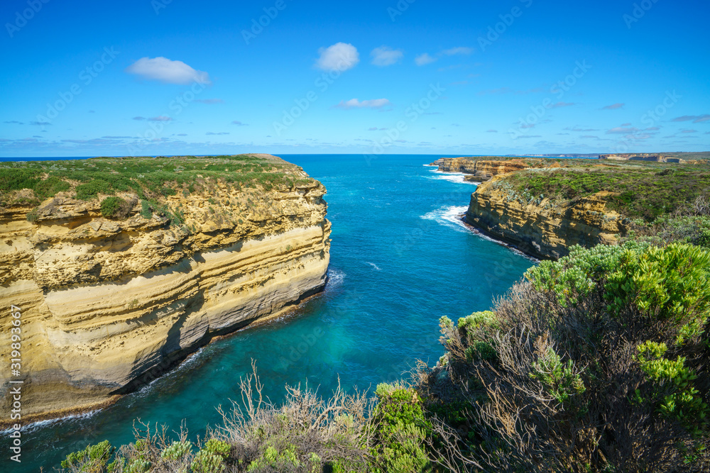 Fototapeta premium mutton bird island, great ocean road in victoria, australia