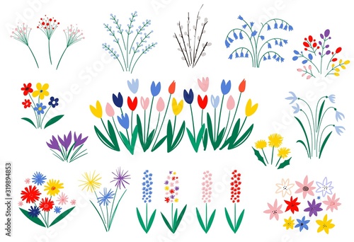 Set of spring flowers in a flat style isolated on white background. Elegant floral decorations. Illustration of nature flower spring and summer in garden. 8 March. Vector illustration.