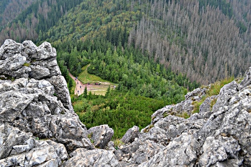 Widok z Nosala, Zakopane, Polska photo