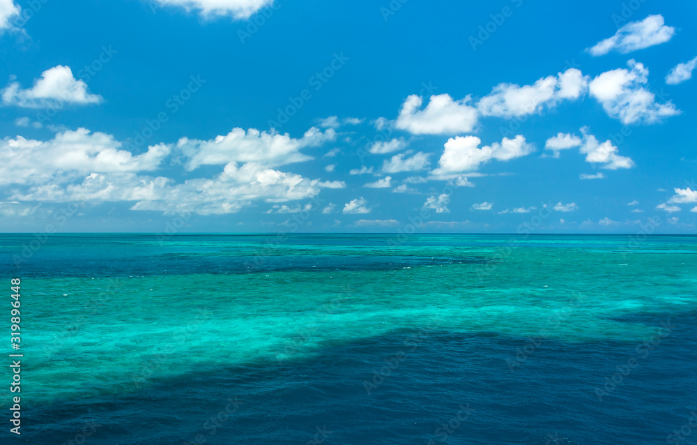 The Great Barrier Reef