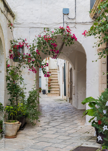 charming street and passageway with flowers in Italy