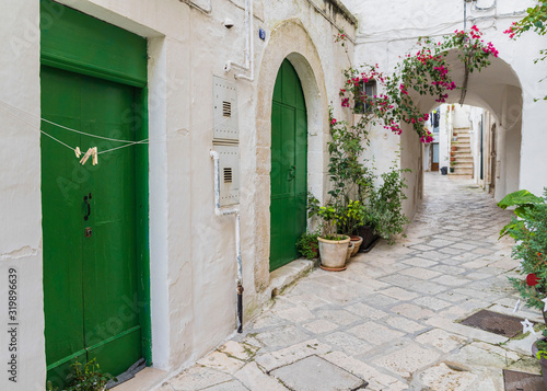 narrow street in old town with green doors in Italy © gammaphotostudio