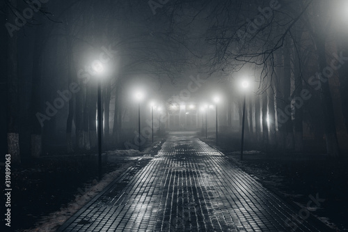Fotografia Autumn city park at night in fog