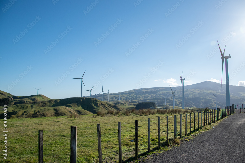 Fototapeta premium wind turbines in the field