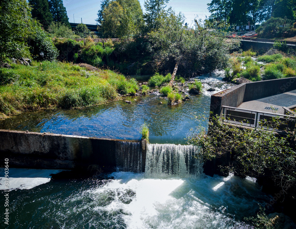 Scenic Upper Tumwater Falls cascading into a creek with a dam and a walkway trees grass in a popular park in Thurston County Western Washington in the summertime. Scenic Upper Tumwater Falls cascading into a creek with a dam and a walkway trees grass in a popular park in Thurston County Western Washington in the summertime.