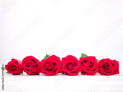 Red rose flowers on white wooden plate and white background with copy space. 