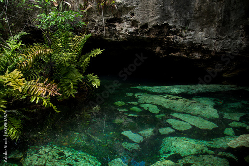 The Crystal Cenote in Quintana Roo , Mayan Riviera, Mexico is a natural area where you can find 3 open cenotes that include 1 small cave, ideal for snorkeling