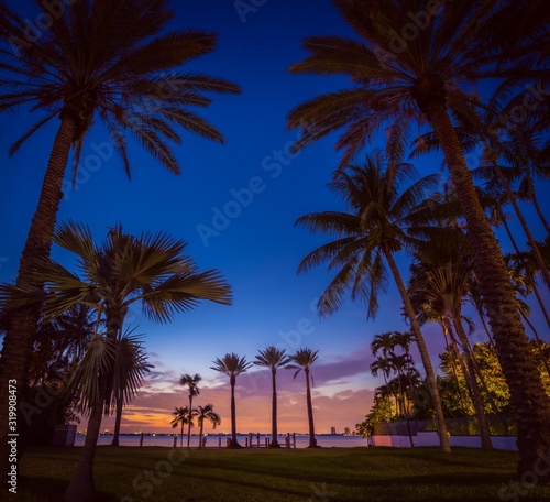 palm sunset beach sea tree sky tropical travel blue nature landscape ocean summer sun sunrise vacation