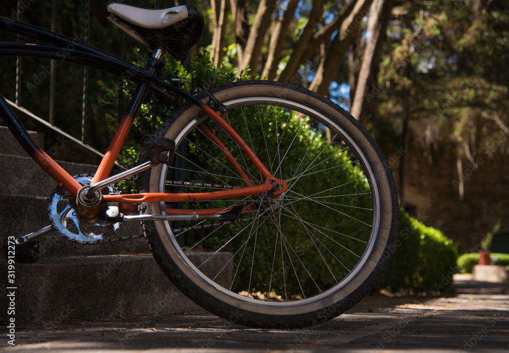 Close up of a Bicycle in a park